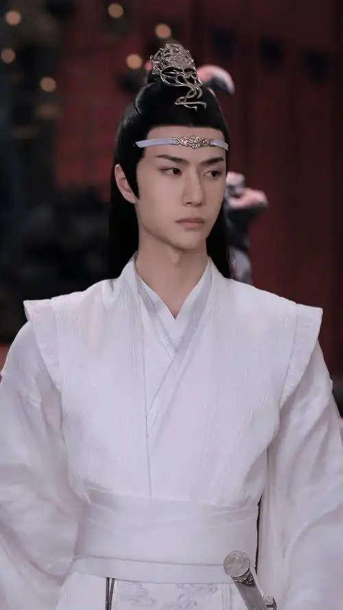 陈情令 蓝忘机 王一博