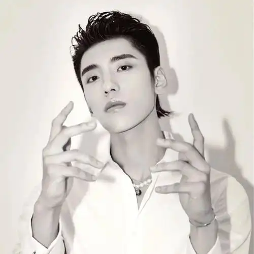 微信头像王子异