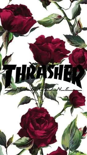 今日份壁纸thrasher420