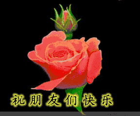 288_240gif 动态图 动图