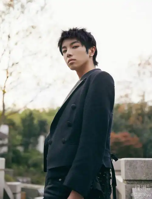 2020年12月4号【华晨宇】出席智族gqmoty年度人物盛典【一】