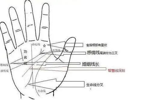 八字是其中最流行的,但是门槛最低的却是手相,因为手相只要掌握一