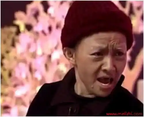 宋丹丹经典语录-经典语录