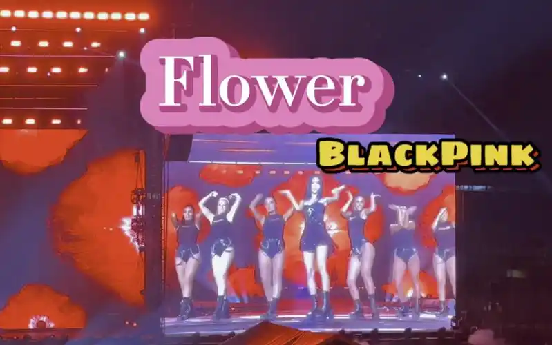 blackpink flower 现场演唱会 旧金山