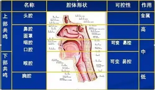 列举一些共鸣训练方法,收藏练习