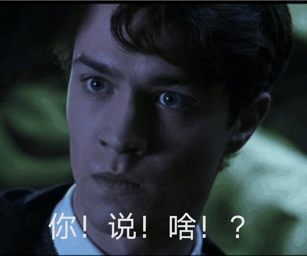 hp表情包汤姆里德尔