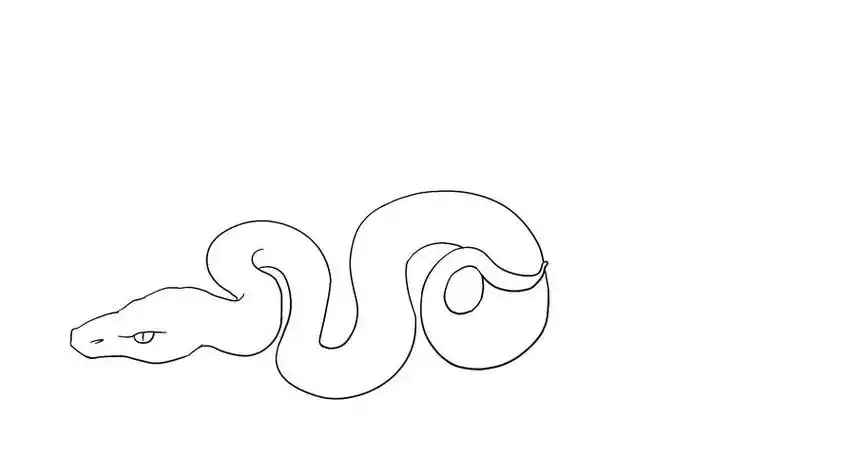 幼儿简笔画大蟒蛇