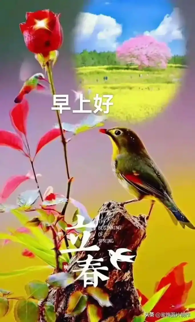早上好beginningofspring春头条@蜜蜂图片制作 - 抖音