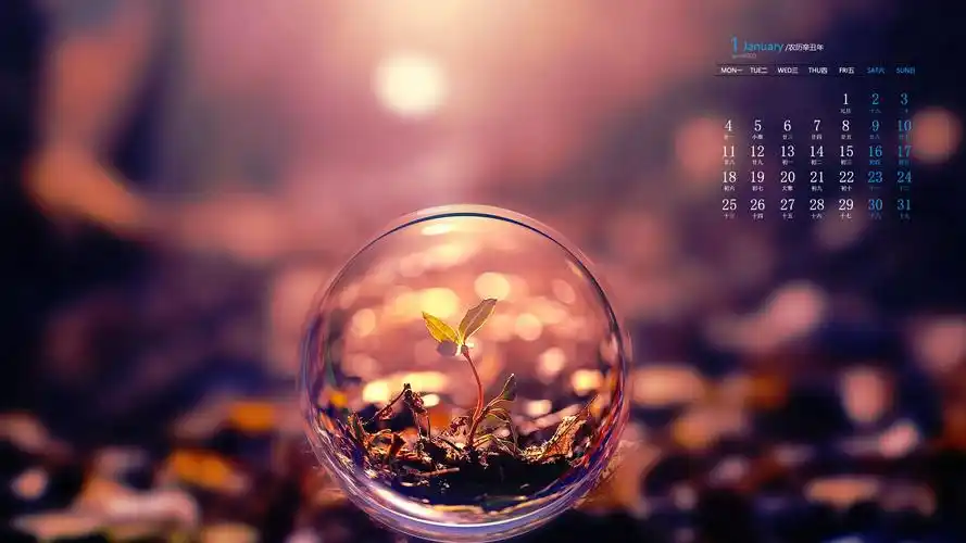 2021年1月绿色养眼护眼植物日历壁纸_日历壁纸_壁纸下载_美桌网