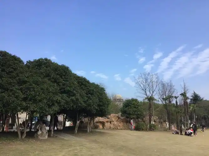 冬游泗泾公园!(一)