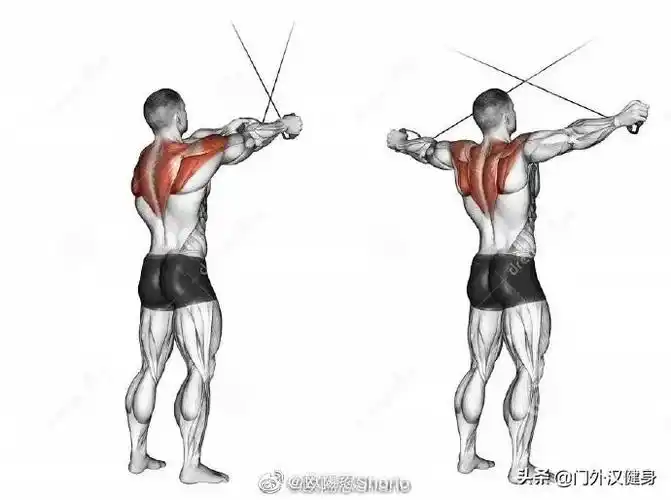 斜方肌中下部:龙门架交叉开合拉