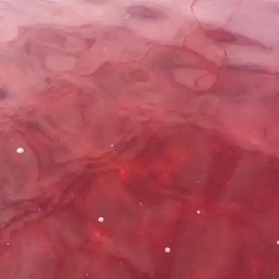 ins红色系列背景图微信状态