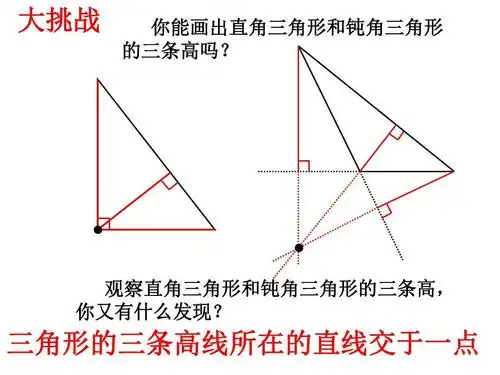 的三条高吗? ● ● 观察直角三角形和钝角三角形的三条高, 观