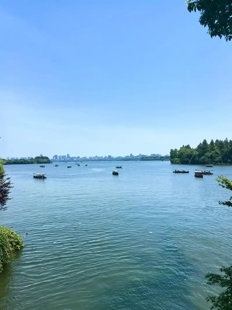 走在西湖堤上,凉凉的水风带着阵阵清新气息让人倍感舒适!