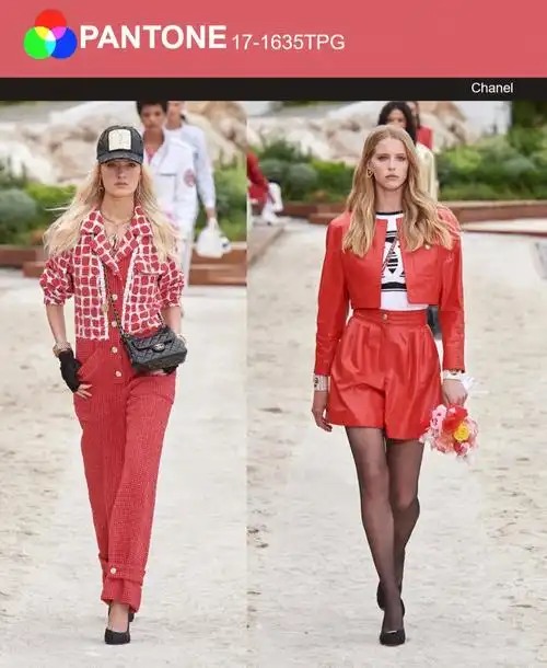 200场服装色彩搭配169沙龙玫瑰