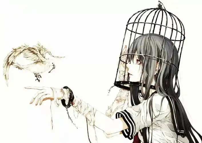 我这才发现原来整个世界都在我的笼子里