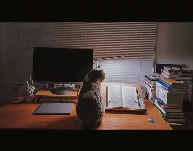 夜晚我们在书房