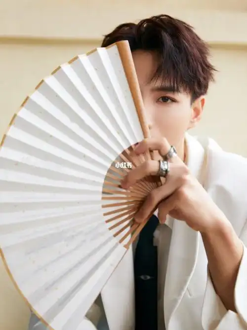 王俊凯拿扇子