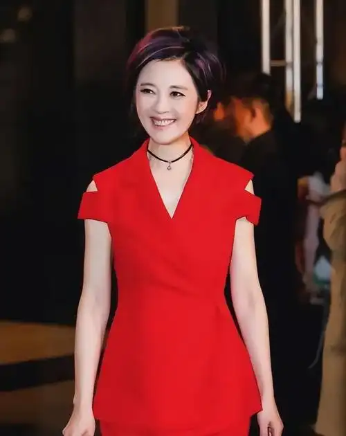 许戈辉丈夫丁健简介(为娶著名主持人许戈辉)_金纳莱网