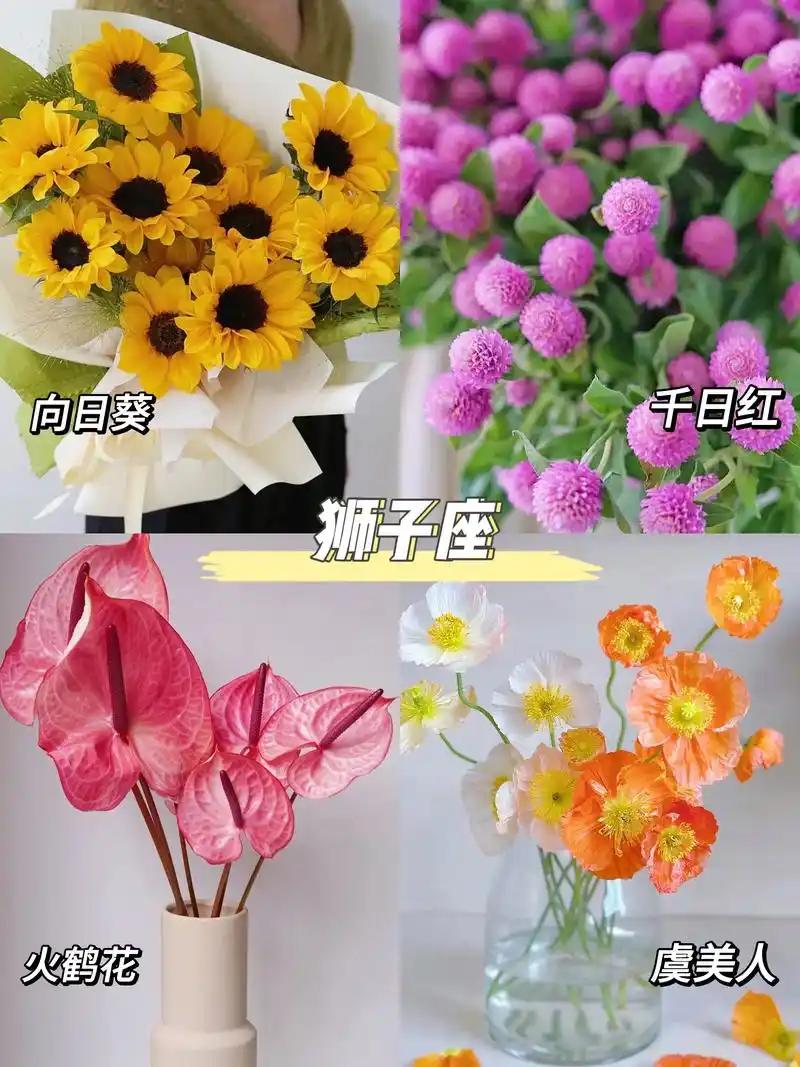 十二星座代表花,快来看看你的代表花是什么吧!#星座 #鲜花  - 抖音