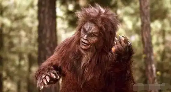 神农架"红毛怪"是野人吗?它更可能是这种动物,如今已极为稀少