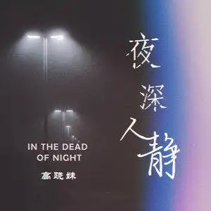 夜深人静 - 高跷妹 - qq音乐-千万正版音乐海量无