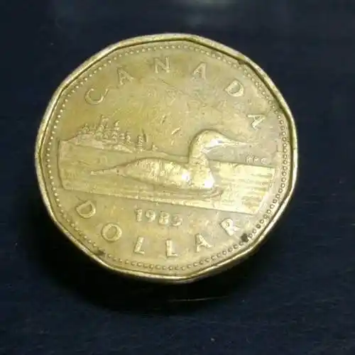 0元起拍加拿大早期一元硬币1枚多年收藏实物拍