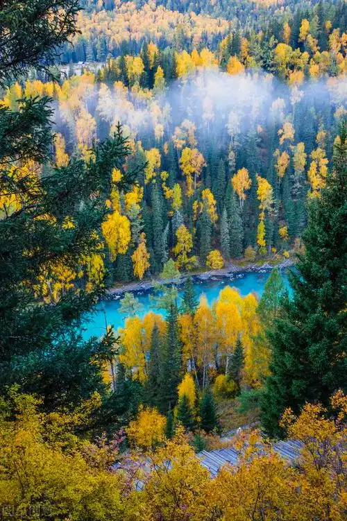 春天图片美景图片最美的春天风景图片