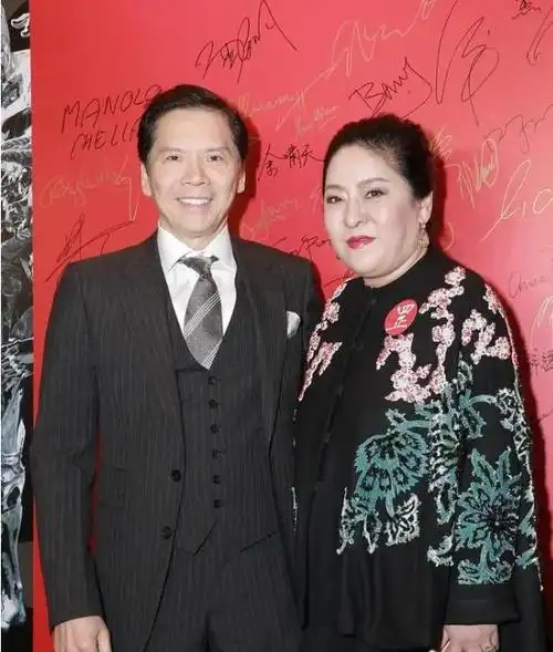 向华强的烦恼,女儿不婚不生,两个儿子更是扶不上墙|向佐|向太|丁佩