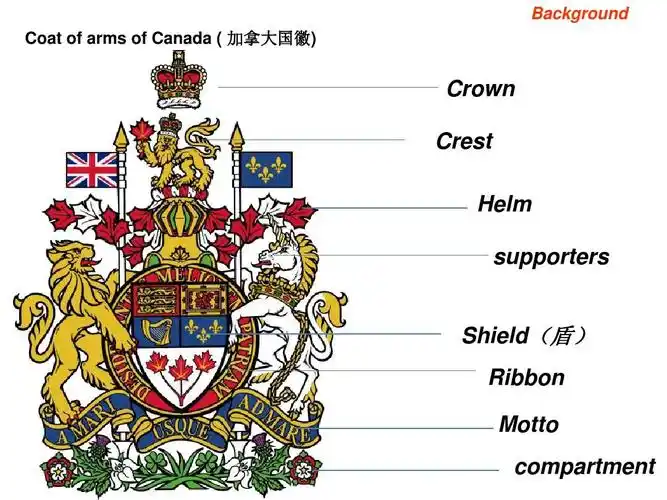 background coat of arms of canada   加拿大国徽) crown crest