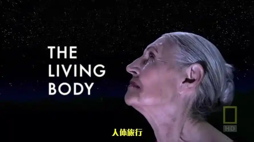 影视25纪录片人体内旅行