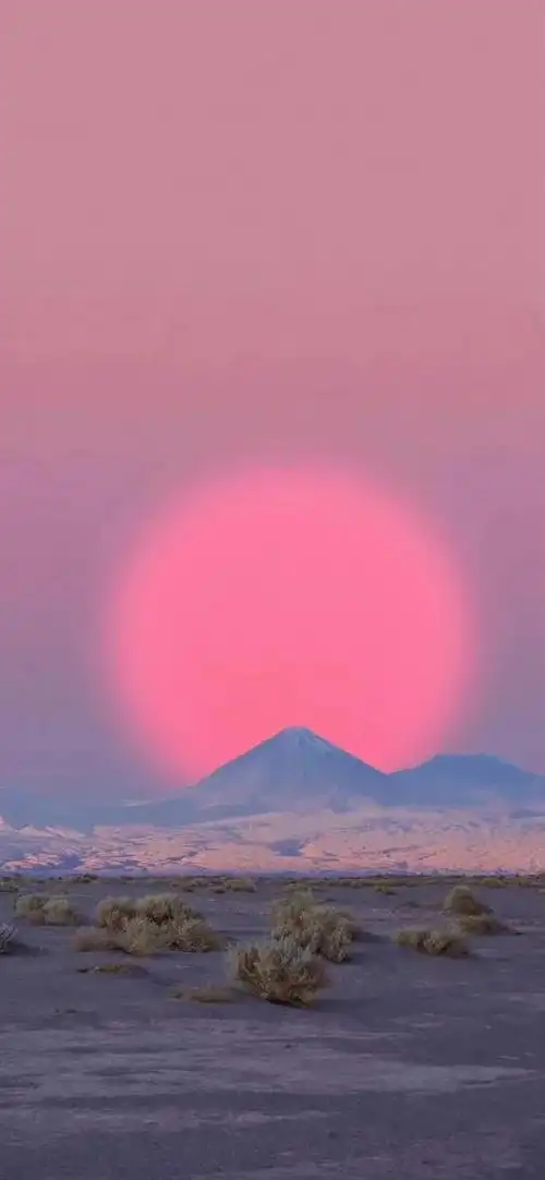 手机壁纸##壁纸|头像|背景图##壁纸