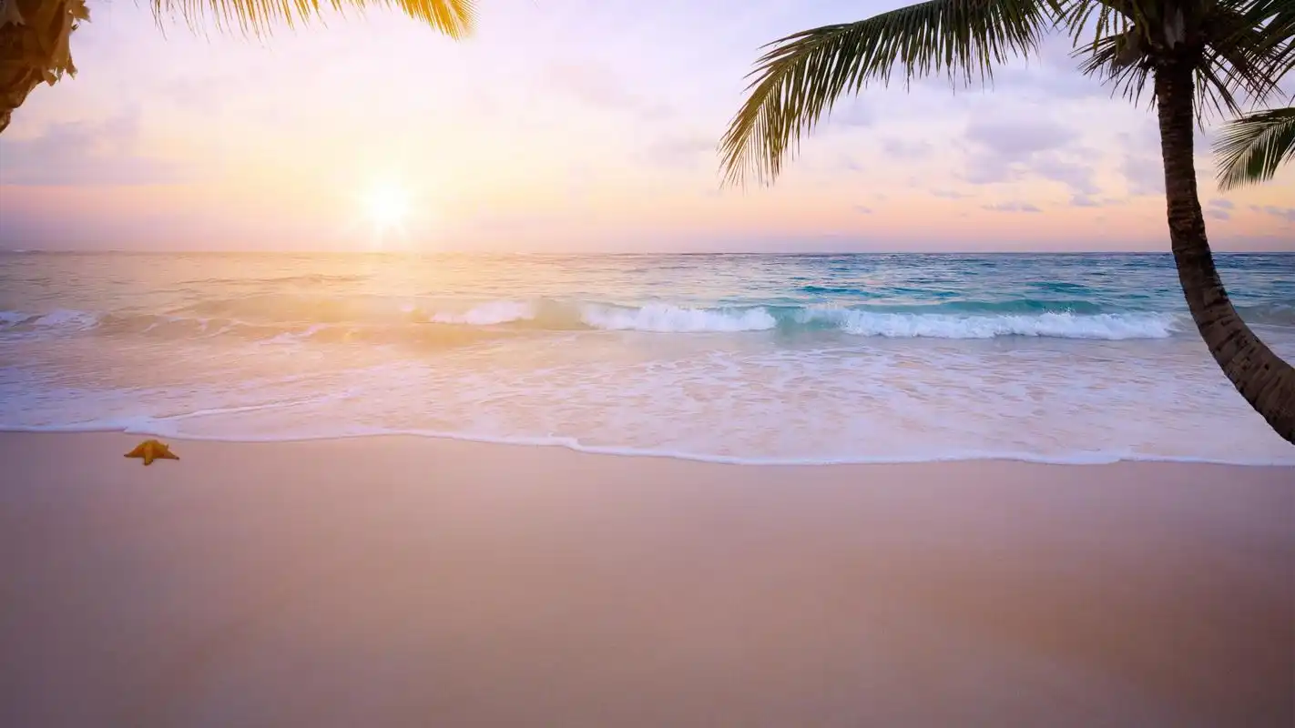 椰林树影下的金色沙滩唯美高清桌面壁纸高清大图预览1920x1080_风景