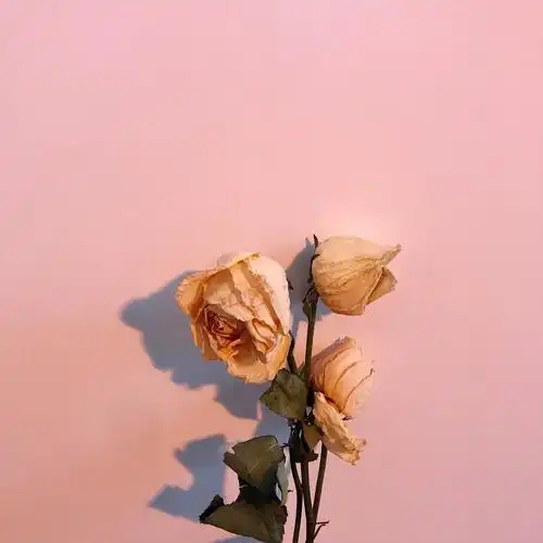 好看的微信朋友圈背景图无水印的,大家一起分享一下!