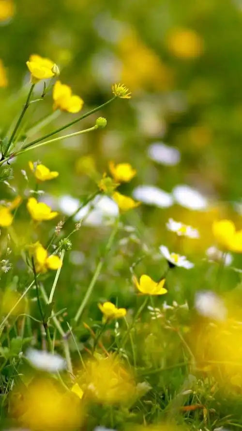 720_1280竖版 竖屏