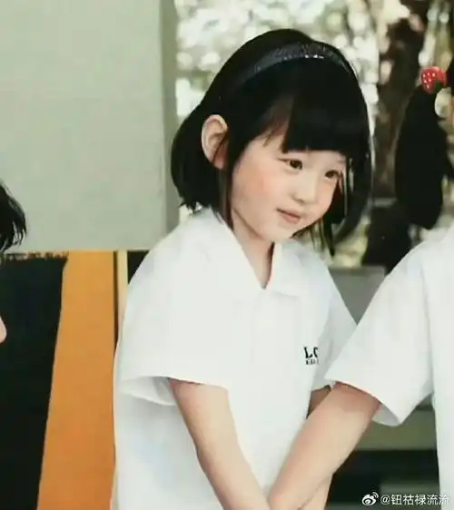 完全和小时候一模一样#张元英短发画报