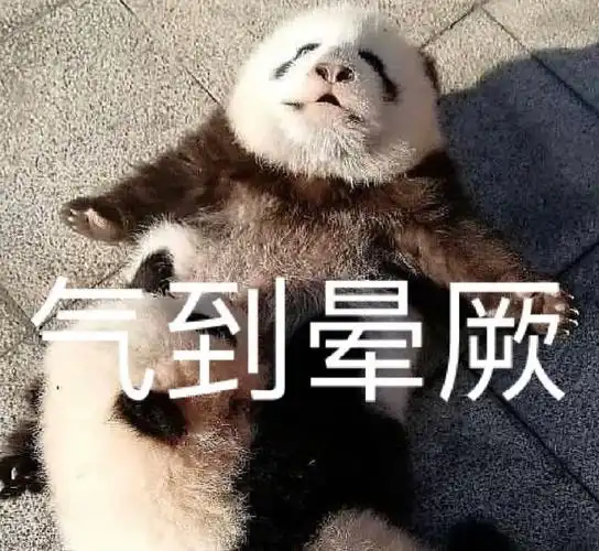 萌宠熊猫气到晕厥生气搞怪呆萌gif动图_动态图_表情包下载_soogif
