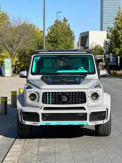 价格较贵 私信了解#奔驰  #巴博斯g级  #梅赛德斯  #汽车  #小红书