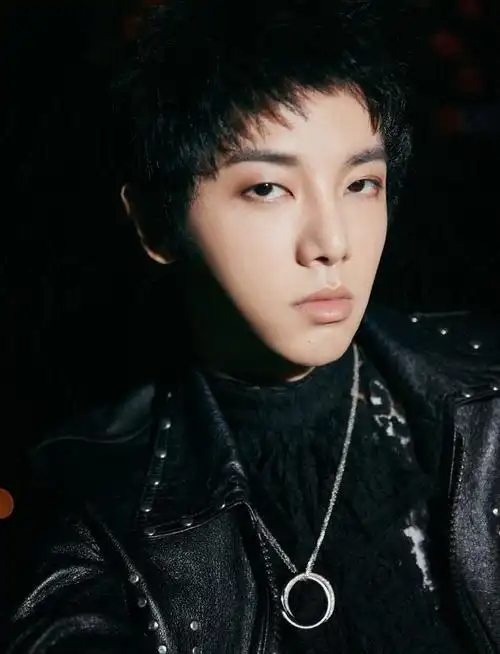 华晨宇(中国男歌手,音乐创作人)_尚可名片