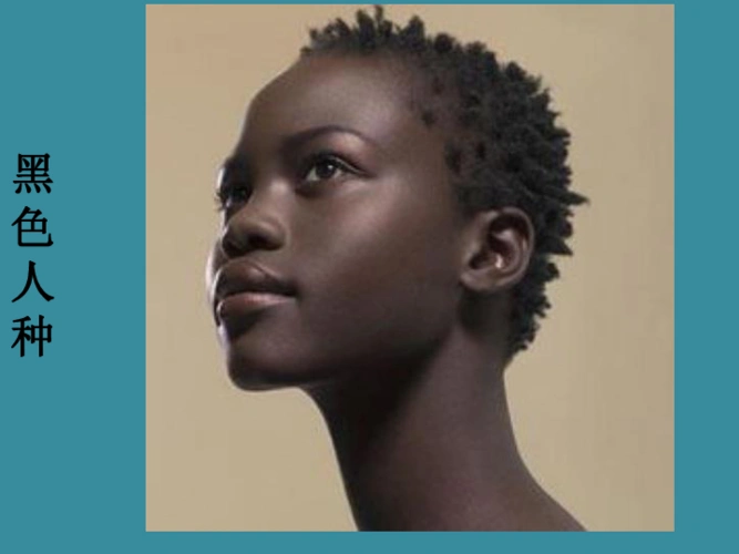 粤教版地理七年级上册课件52世界的人种语言和宗教16张ppt