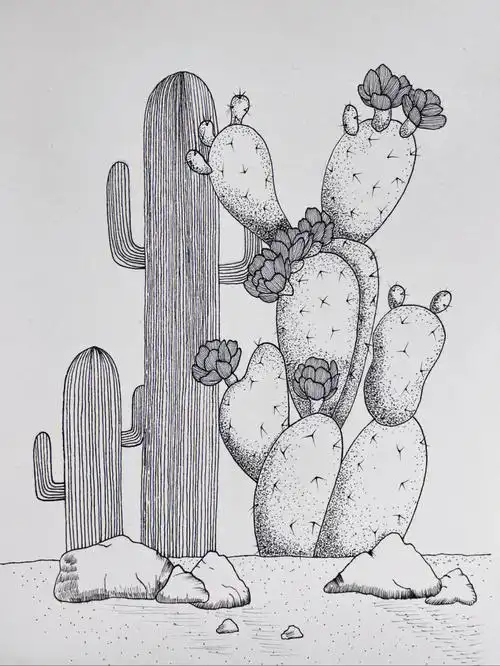 no.53黑白装饰画|针管笔手绘练习『沙生植物』