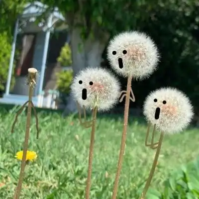 微信可爱有趣头像,高清有趣可爱适合微信用的头像图片