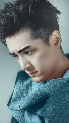 优质男演员胡歌