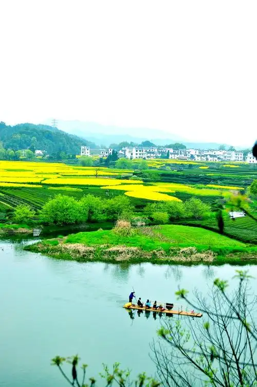 去中国最美的乡村——婺源_风景_poco摄影