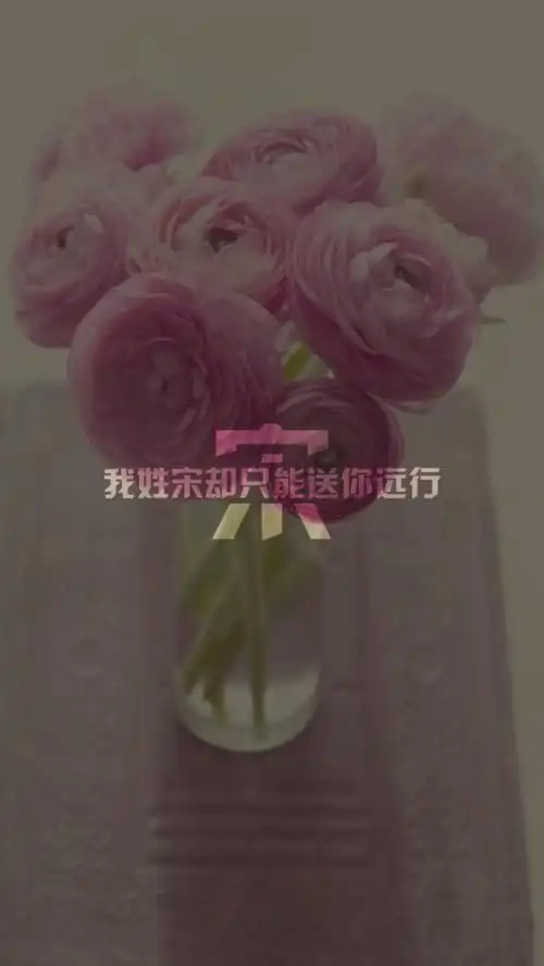 我姓宋 - 堆糖,美图壁纸兴趣社区