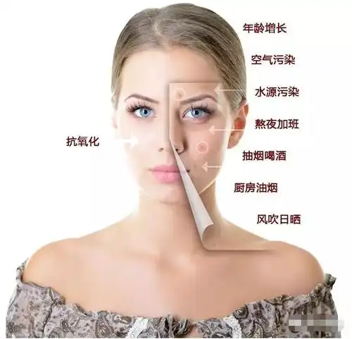 虾青素抗衰老抗皱的功效与作用