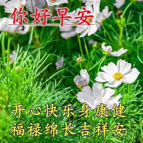 夏季早上好表情包图片带字,夏天早安问候祝福语图片大全