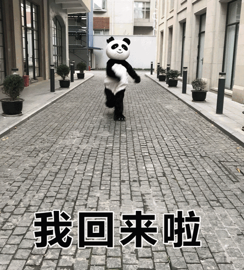 熊猫君今天终于复工回来了!