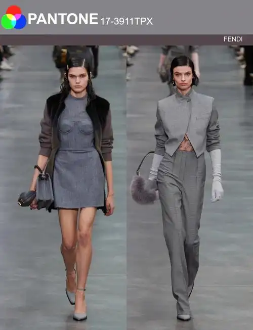 200场服装色彩搭配177银丝