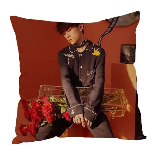 tfboys易烊千玺周边同款抱枕靠垫设计来图设计照片海报生日礼物品